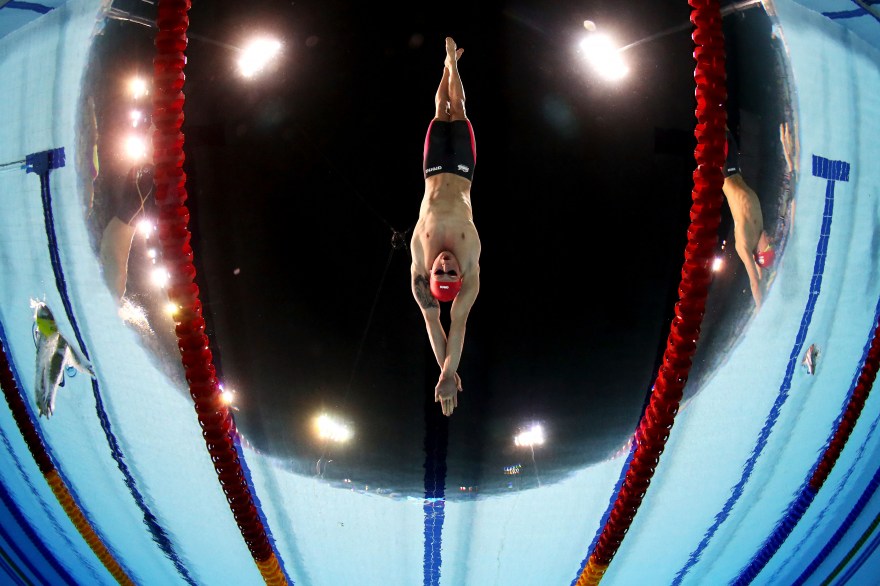 European Championships: Swimming in the medals